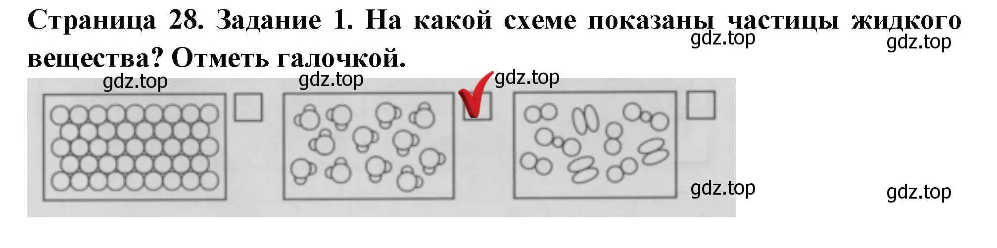 Решение номер 1 (страница 28) гдз по окружающему миру 3 класс Плешаков, Плешаков, проверочные работы