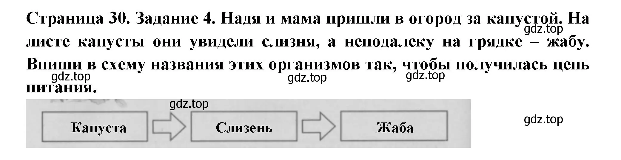 Решение номер 4 (страница 30) гдз по окружающему миру 3 класс Плешаков, Плешаков, проверочные работы