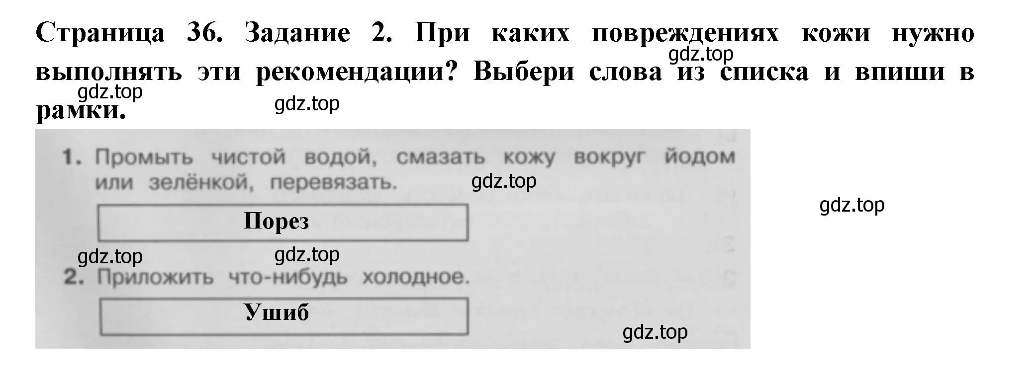 Решение номер 2 (страница 36) гдз по окружающему миру 3 класс Плешаков, Плешаков, проверочные работы