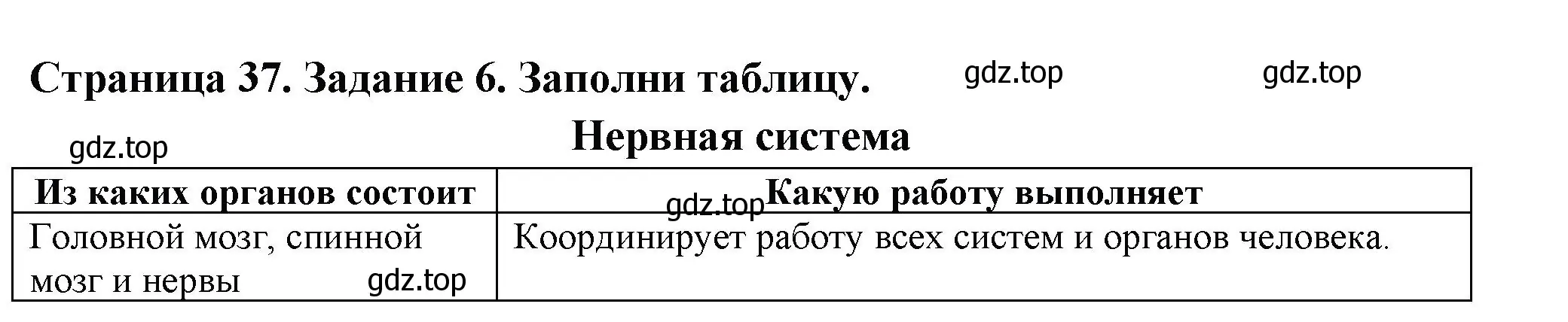 Решение номер 6 (страница 37) гдз по окружающему миру 3 класс Плешаков, Плешаков, проверочные работы