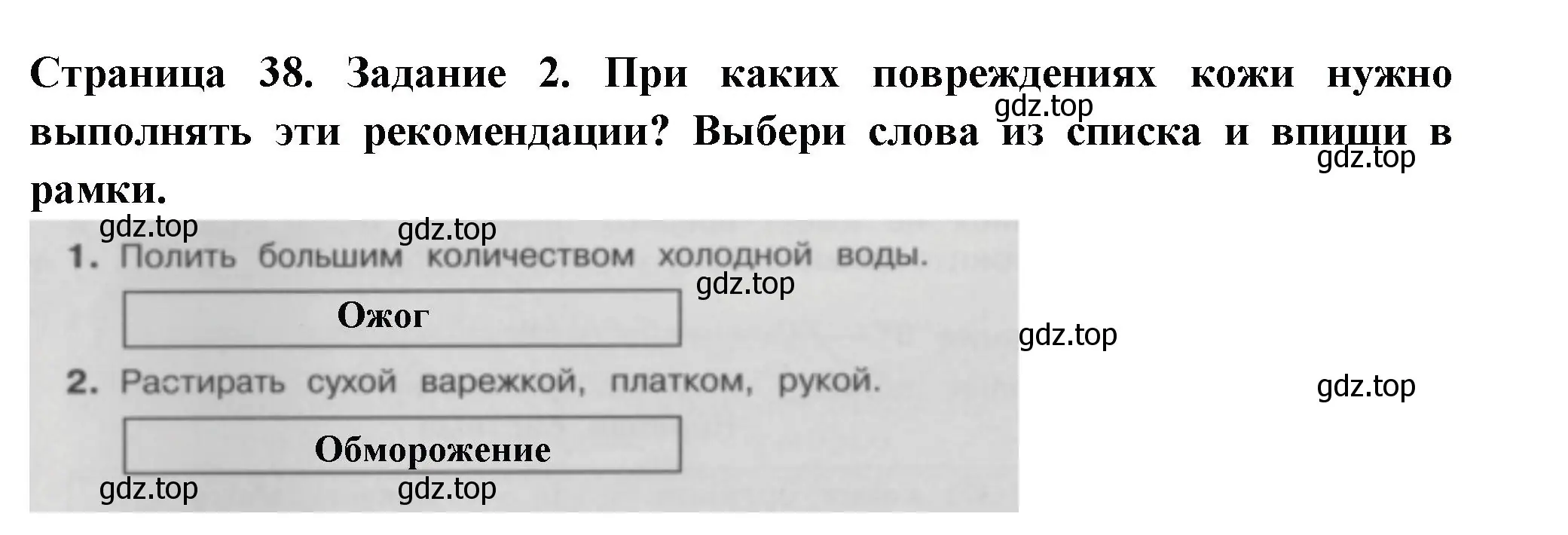 Решение номер 2 (страница 38) гдз по окружающему миру 3 класс Плешаков, Плешаков, проверочные работы