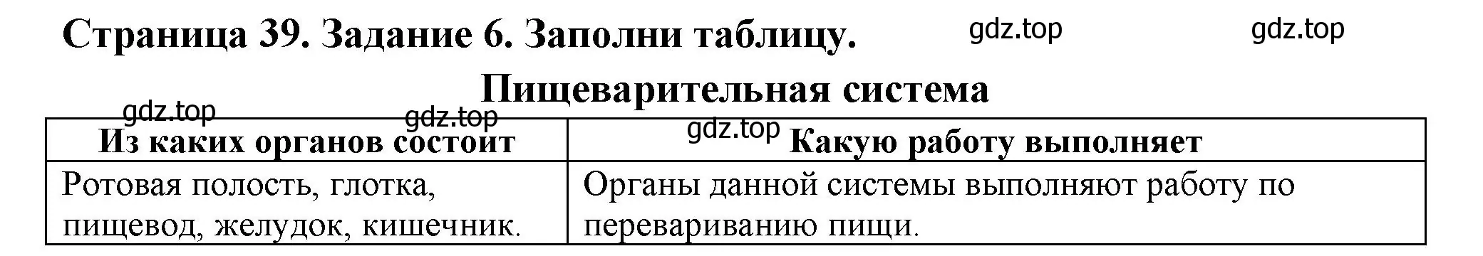 Решение номер 6 (страница 39) гдз по окружающему миру 3 класс Плешаков, Плешаков, проверочные работы