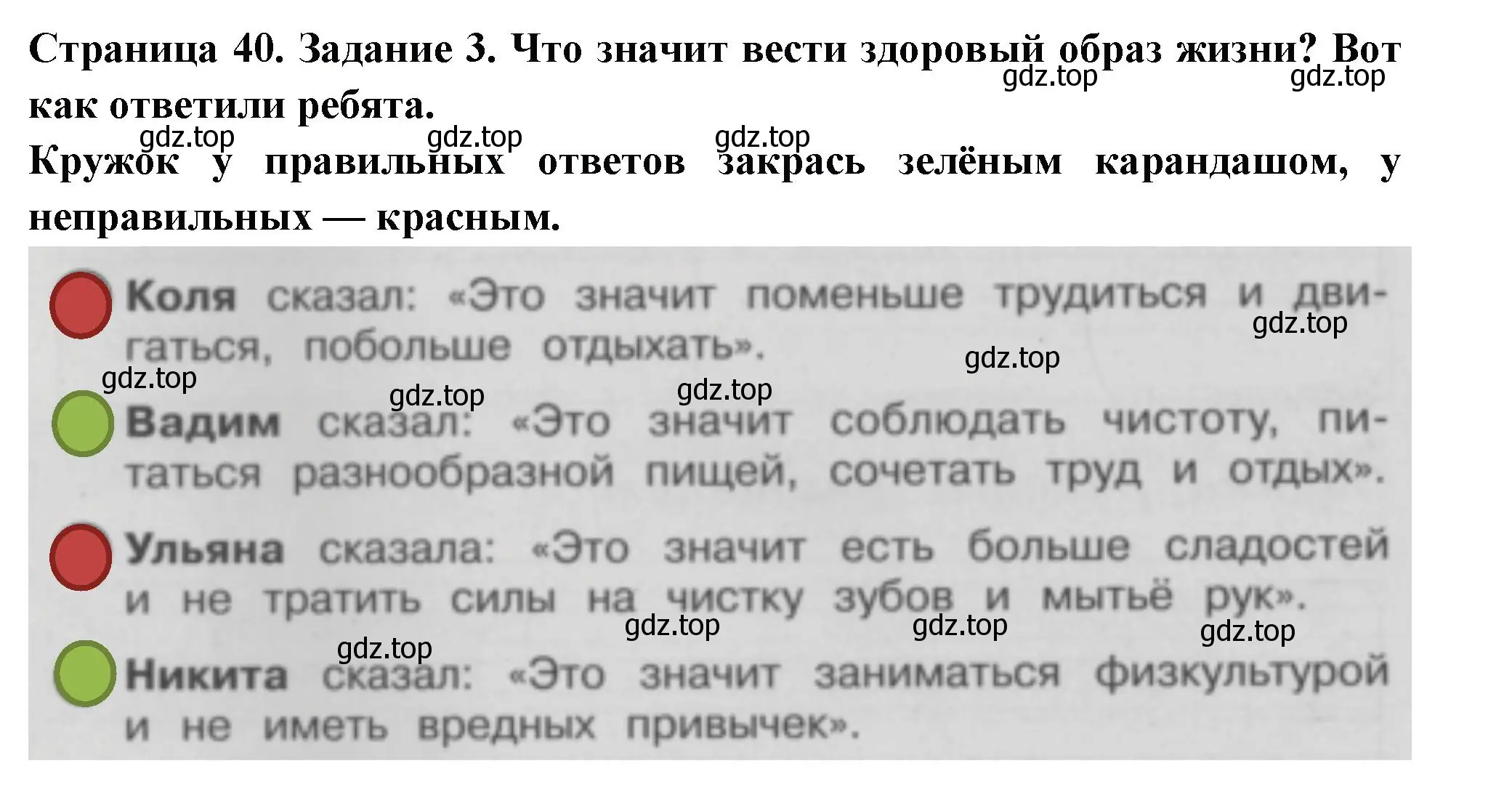 Решение номер 3 (страница 40) гдз по окружающему миру 3 класс Плешаков, Плешаков, проверочные работы