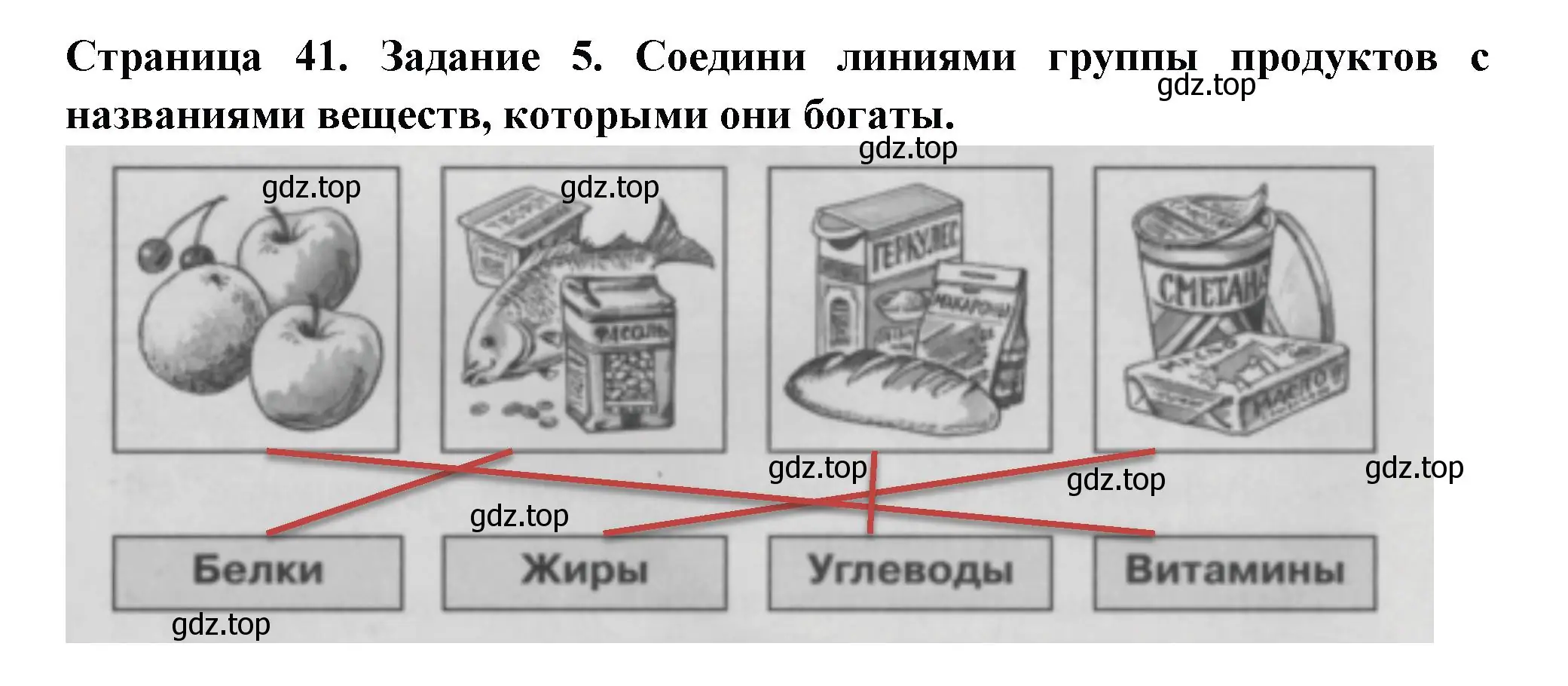 Решение номер 5 (страница 41) гдз по окружающему миру 3 класс Плешаков, Плешаков, проверочные работы