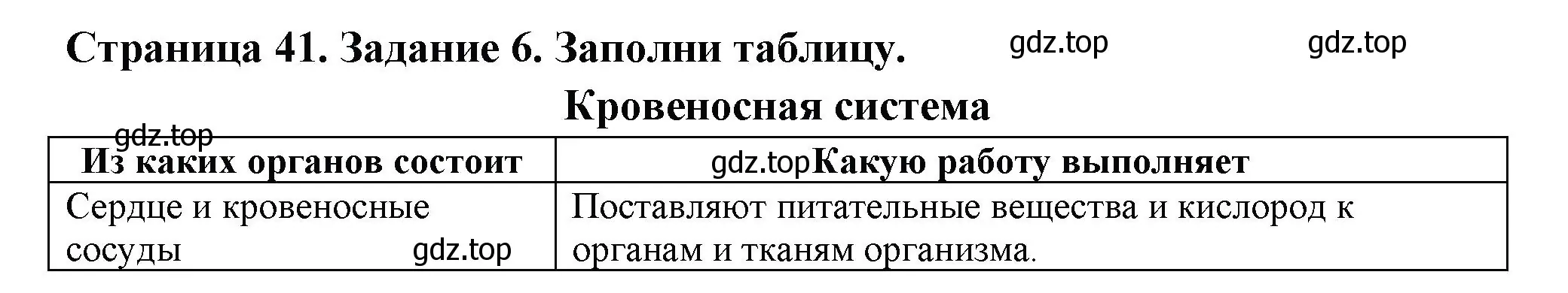 Решение номер 6 (страница 41) гдз по окружающему миру 3 класс Плешаков, Плешаков, проверочные работы