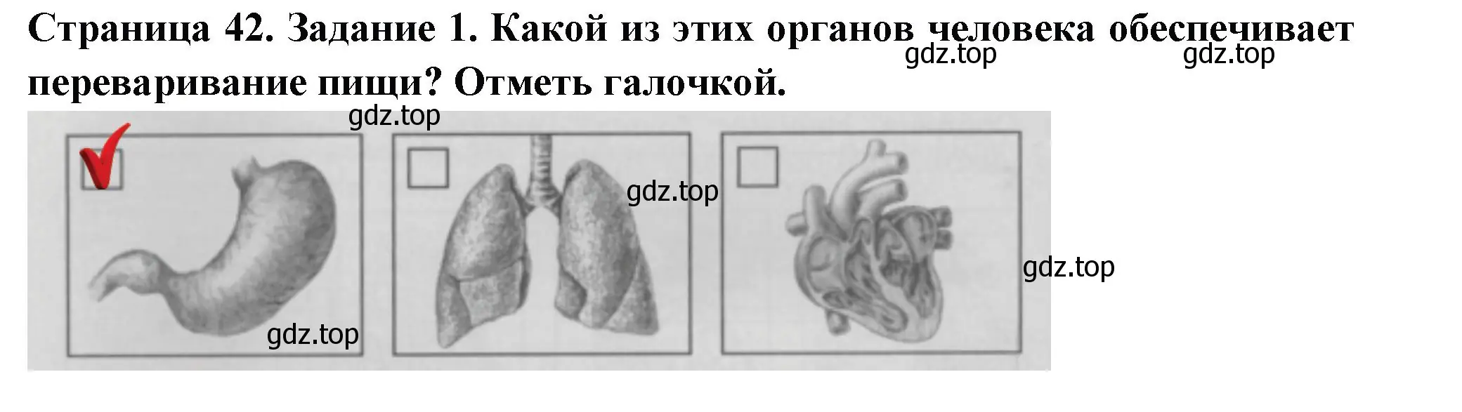 Решение номер 1 (страница 42) гдз по окружающему миру 3 класс Плешаков, Плешаков, проверочные работы