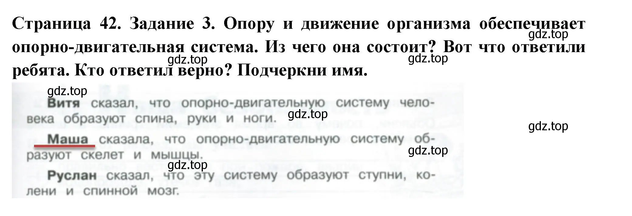 Решение номер 3 (страница 42) гдз по окружающему миру 3 класс Плешаков, Плешаков, проверочные работы