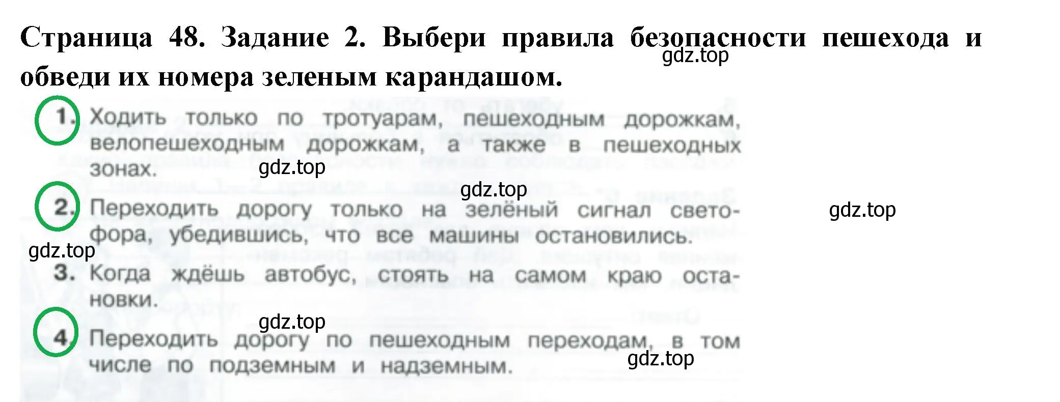 Решение номер 2 (страница 48) гдз по окружающему миру 3 класс Плешаков, Плешаков, проверочные работы