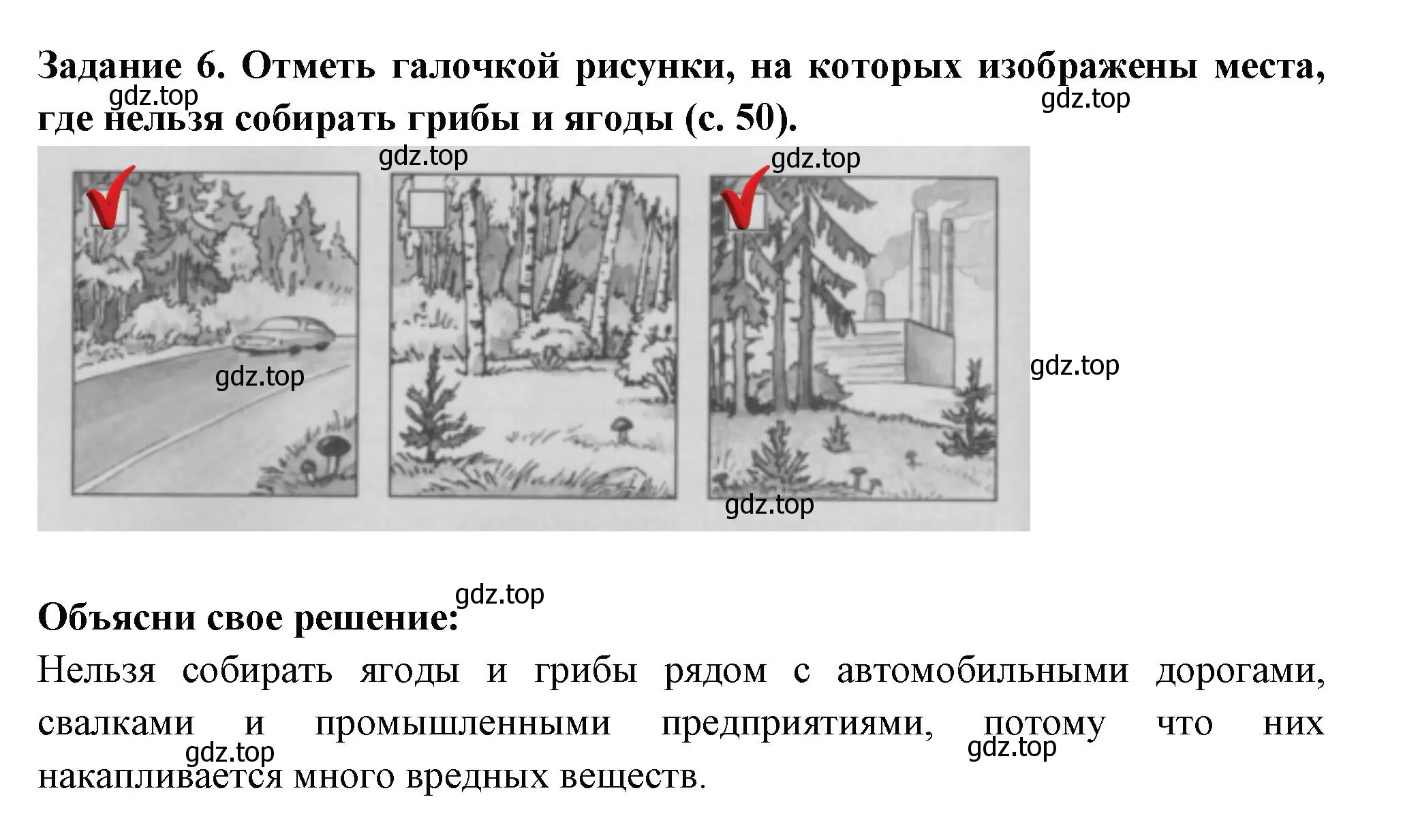 Решение номер 6 (страница 49) гдз по окружающему миру 3 класс Плешаков, Плешаков, проверочные работы