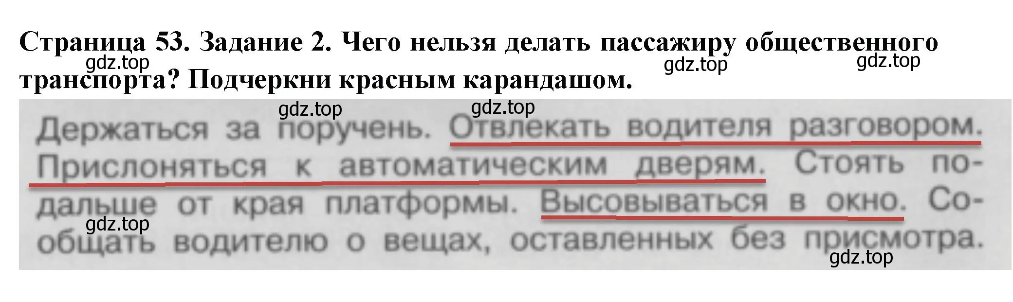 Решение номер 2 (страница 53) гдз по окружающему миру 3 класс Плешаков, Плешаков, проверочные работы