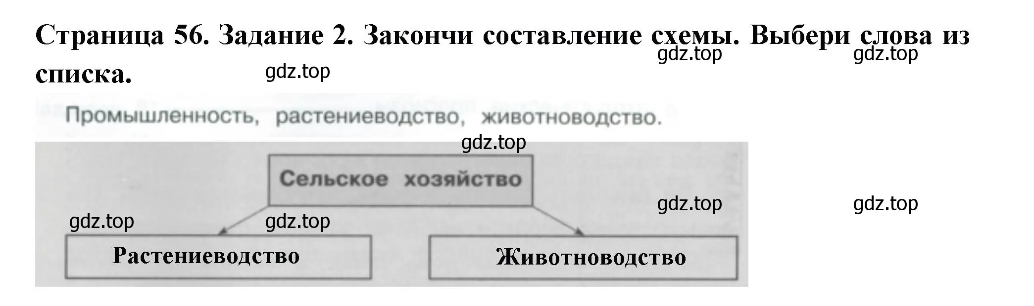 Решение номер 2 (страница 56) гдз по окружающему миру 3 класс Плешаков, Плешаков, проверочные работы