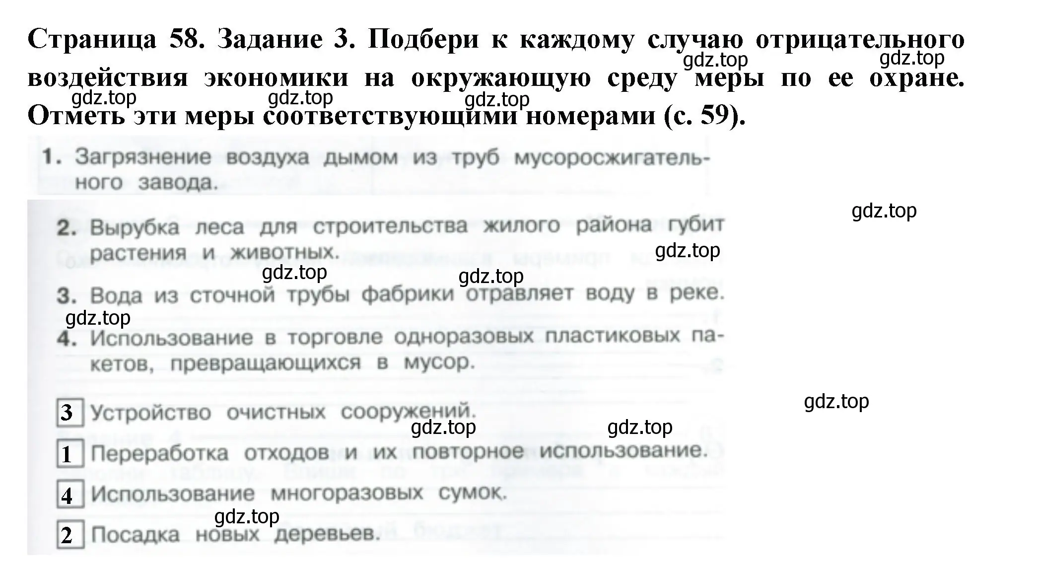 Решение номер 3 (страница 58) гдз по окружающему миру 3 класс Плешаков, Плешаков, проверочные работы