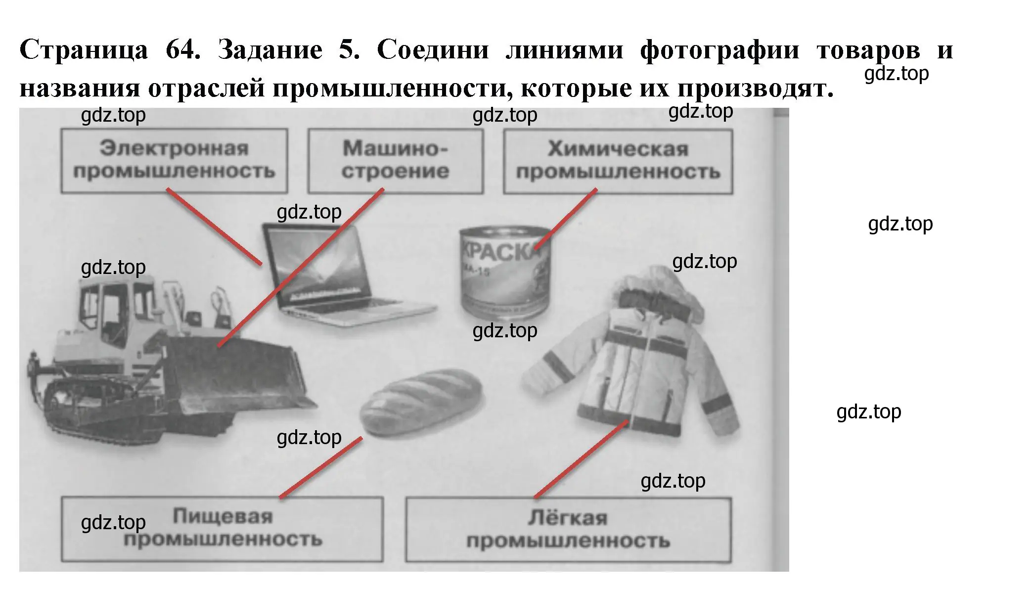 Решение номер 5 (страница 64) гдз по окружающему миру 3 класс Плешаков, Плешаков, проверочные работы