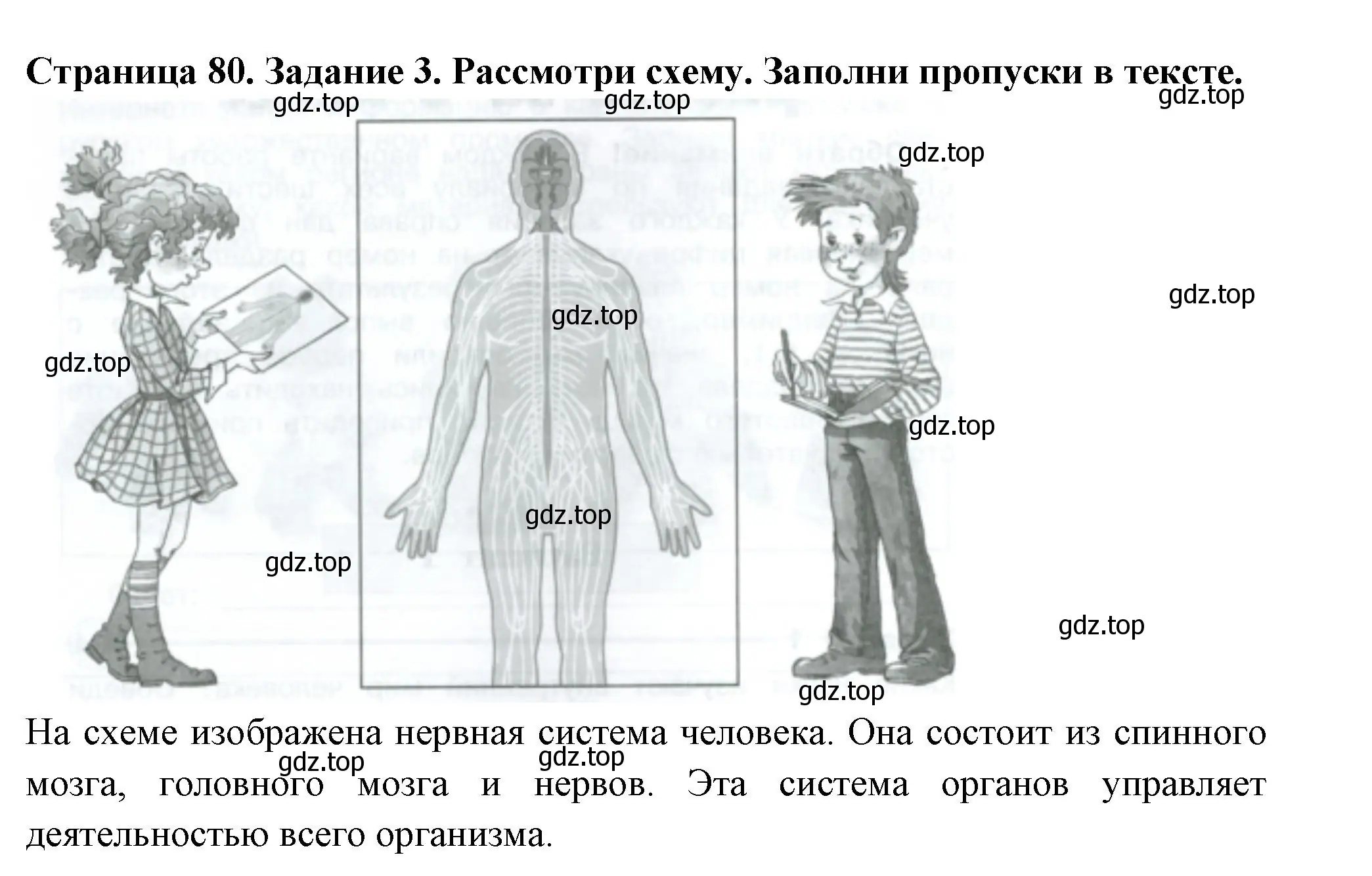 Решение номер 3 (страница 80) гдз по окружающему миру 3 класс Плешаков, Плешаков, проверочные работы