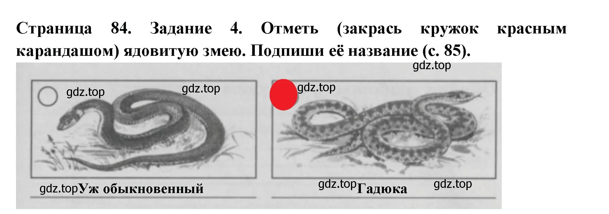 Решение номер 4 (страница 84) гдз по окружающему миру 3 класс Плешаков, Плешаков, проверочные работы