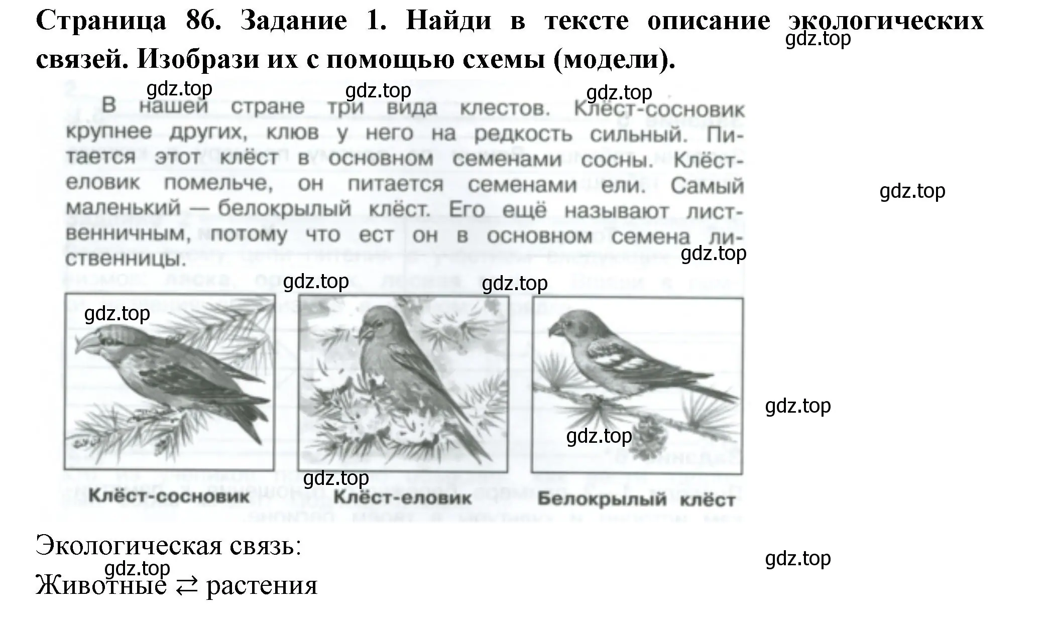 Решение номер 1 (страница 86) гдз по окружающему миру 3 класс Плешаков, Плешаков, проверочные работы