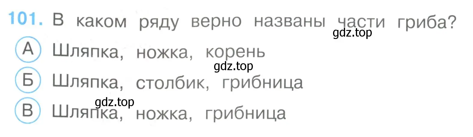 Условие номер 101 (страница 32) гдз по окружающему миру 3 класс Плешаков, Гара, тесты