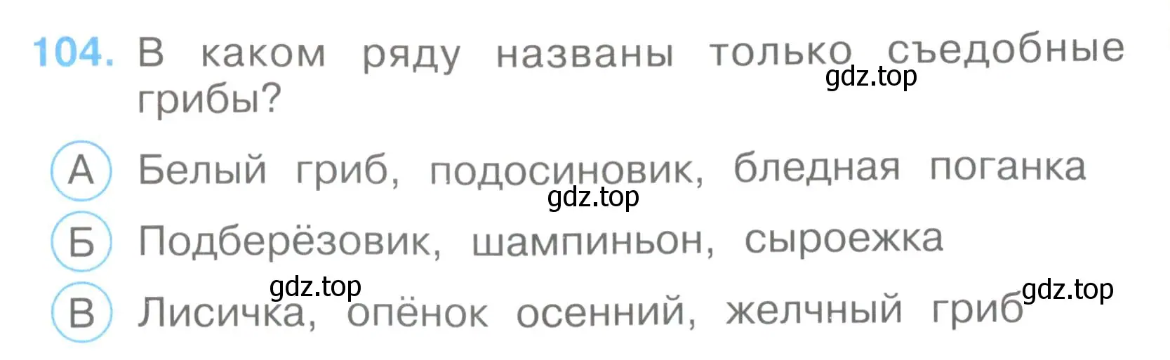 Условие номер 104 (страница 33) гдз по окружающему миру 3 класс Плешаков, Гара, тесты