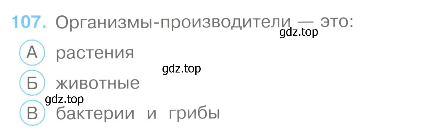 Условие номер 107 (страница 33) гдз по окружающему миру 3 класс Плешаков, Гара, тесты