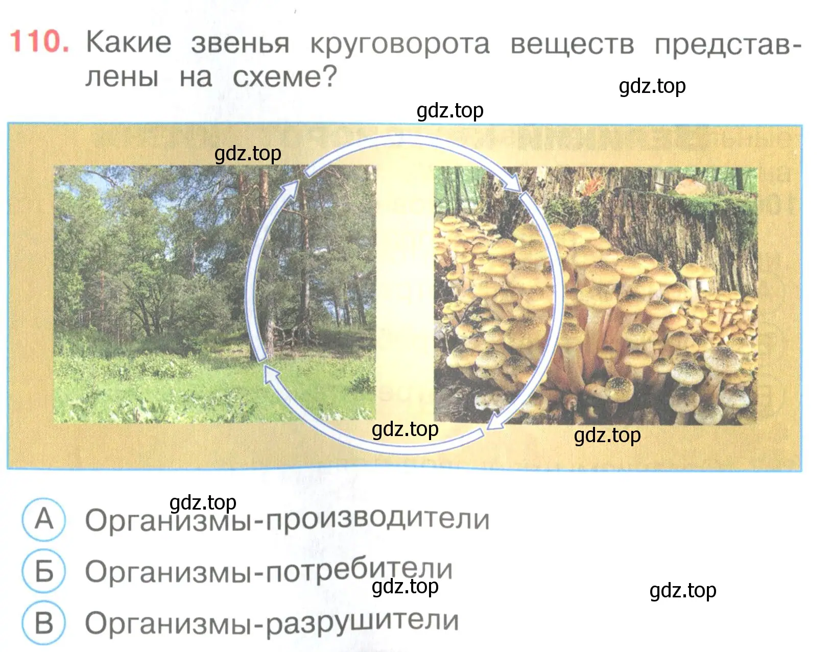 Условие номер 110 (страница 34) гдз по окружающему миру 3 класс Плешаков, Гара, тесты