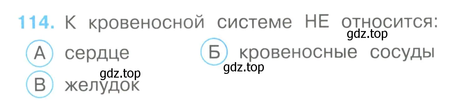 Условие номер 114 (страница 35) гдз по окружающему миру 3 класс Плешаков, Гара, тесты