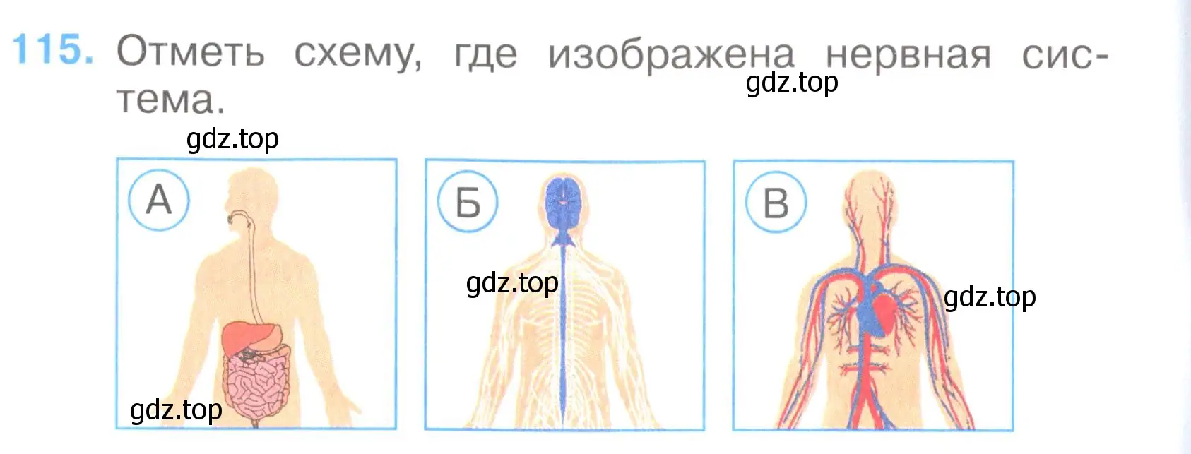Условие номер 115 (страница 36) гдз по окружающему миру 3 класс Плешаков, Гара, тесты