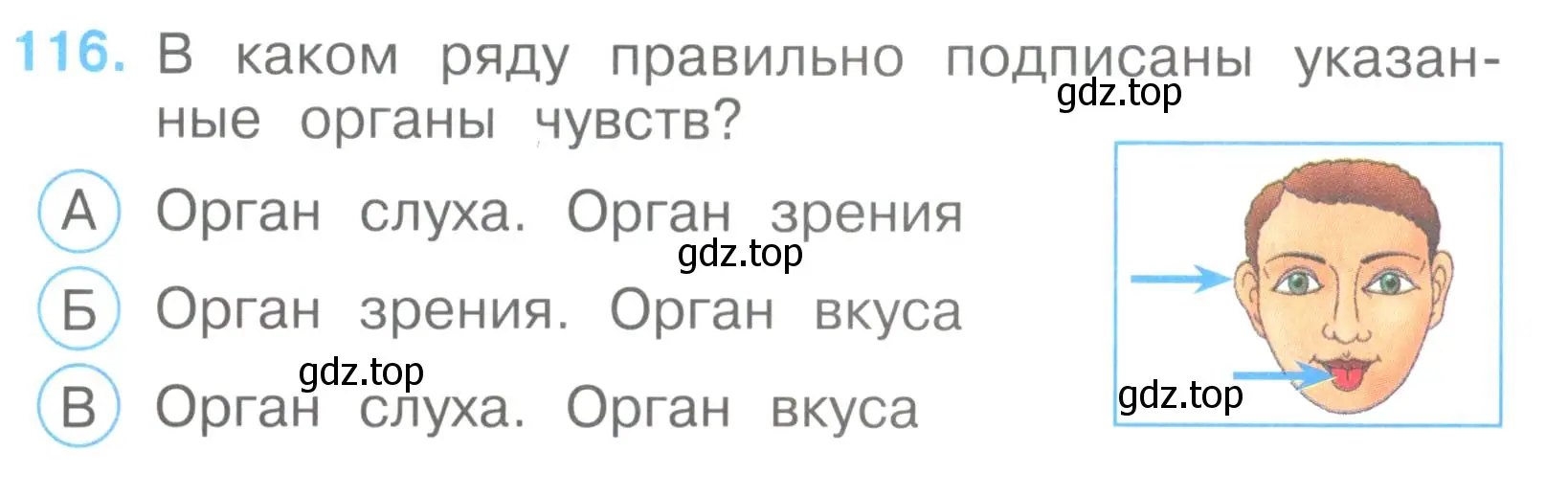 Условие номер 116 (страница 36) гдз по окружающему миру 3 класс Плешаков, Гара, тесты