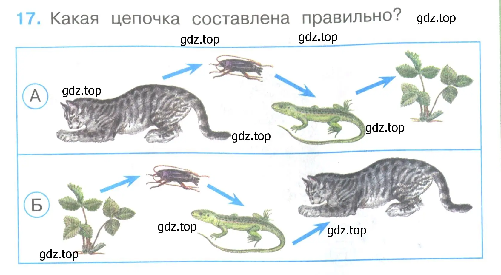 Условие номер 17 (страница 7) гдз по окружающему миру 3 класс Плешаков, Гара, тесты