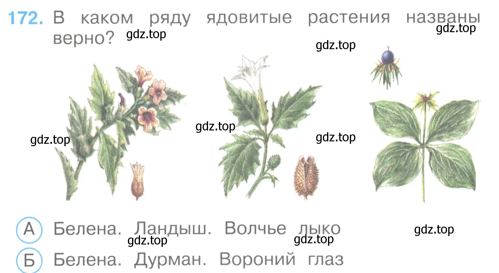 Условие номер 172 (страница 52) гдз по окружающему миру 3 класс Плешаков, Гара, тесты