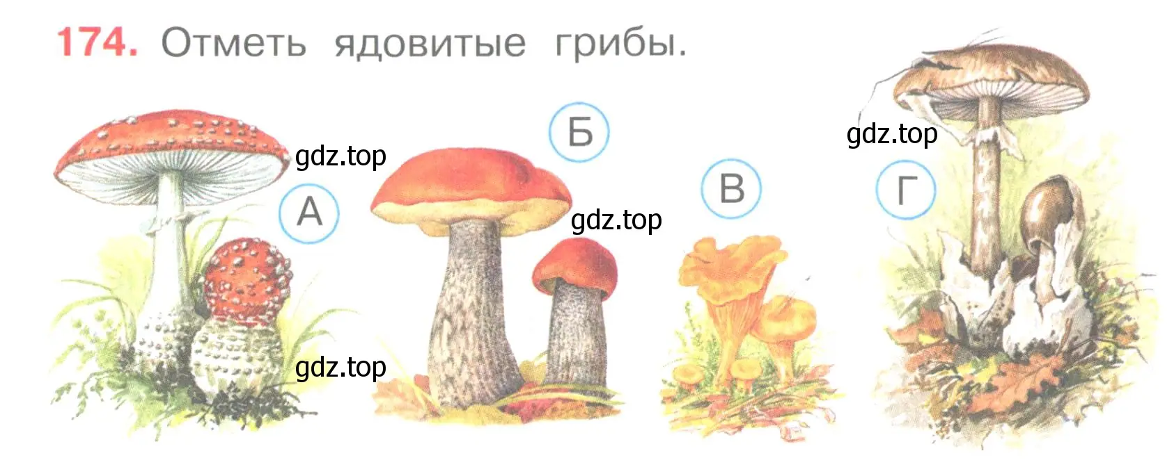 Условие номер 174 (страница 53) гдз по окружающему миру 3 класс Плешаков, Гара, тесты