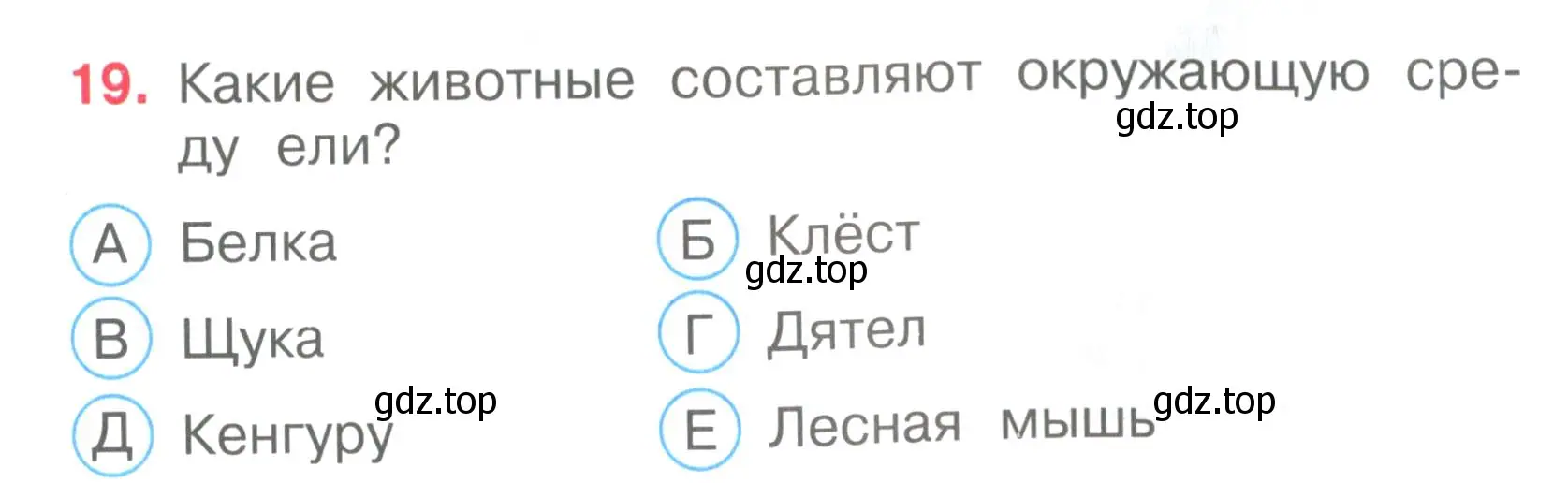 Условие номер 19 (страница 7) гдз по окружающему миру 3 класс Плешаков, Гара, тесты