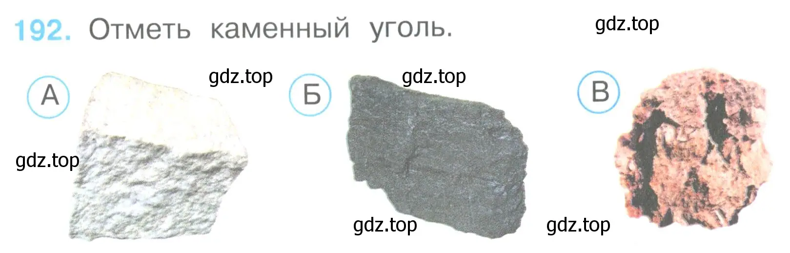 Условие номер 192 (страница 59) гдз по окружающему миру 3 класс Плешаков, Гара, тесты