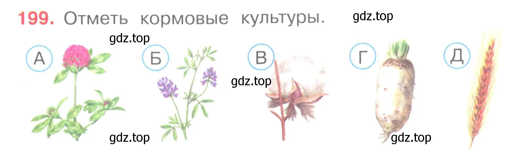 Условие номер 199 (страница 61) гдз по окружающему миру 3 класс Плешаков, Гара, тесты