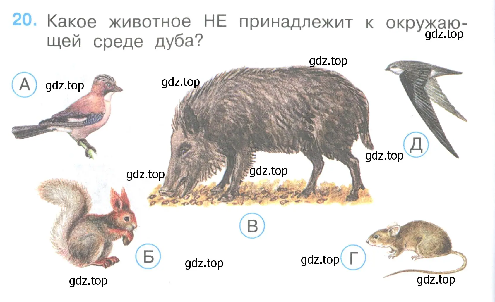 Условие номер 20 (страница 8) гдз по окружающему миру 3 класс Плешаков, Гара, тесты