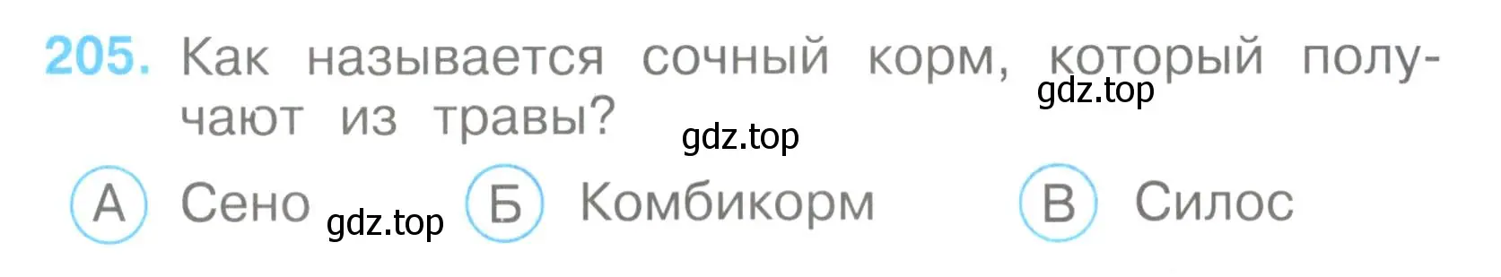 Условие номер 205 (страница 62) гдз по окружающему миру 3 класс Плешаков, Гара, тесты