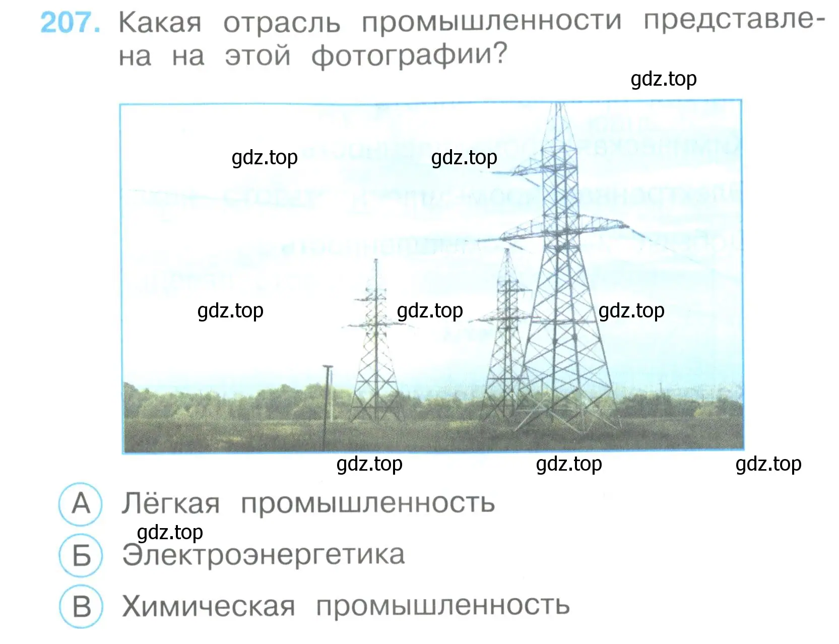 Условие номер 207 (страница 63) гдз по окружающему миру 3 класс Плешаков, Гара, тесты