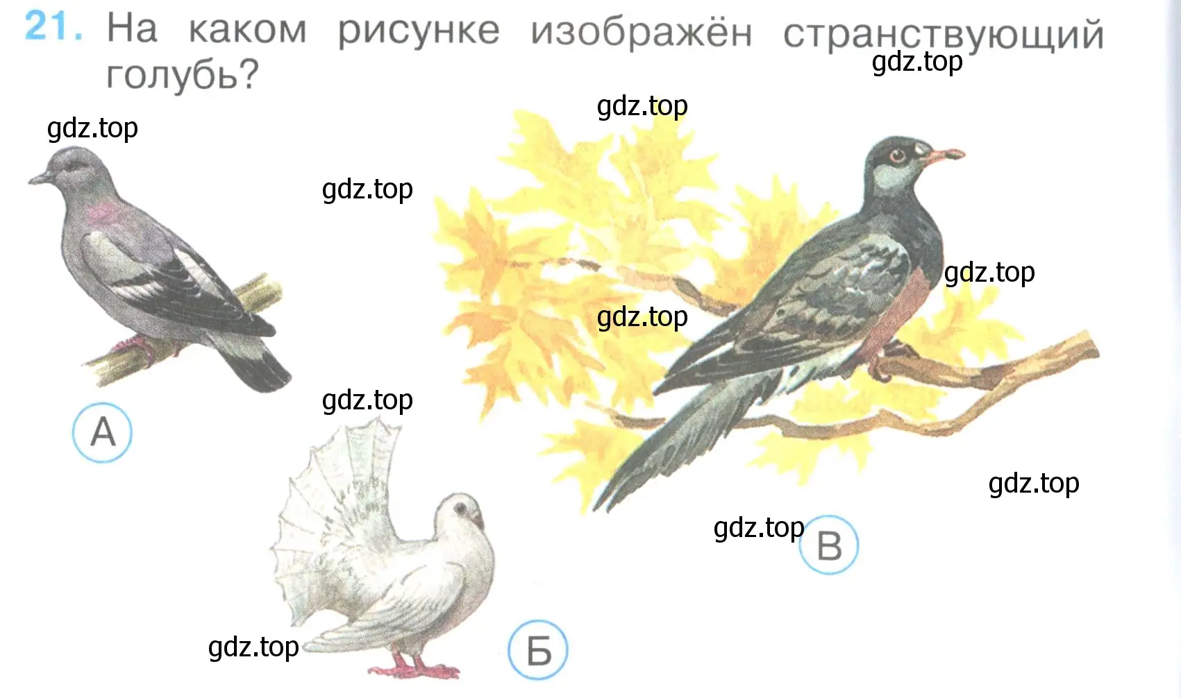 Условие номер 21 (страница 8) гдз по окружающему миру 3 класс Плешаков, Гара, тесты