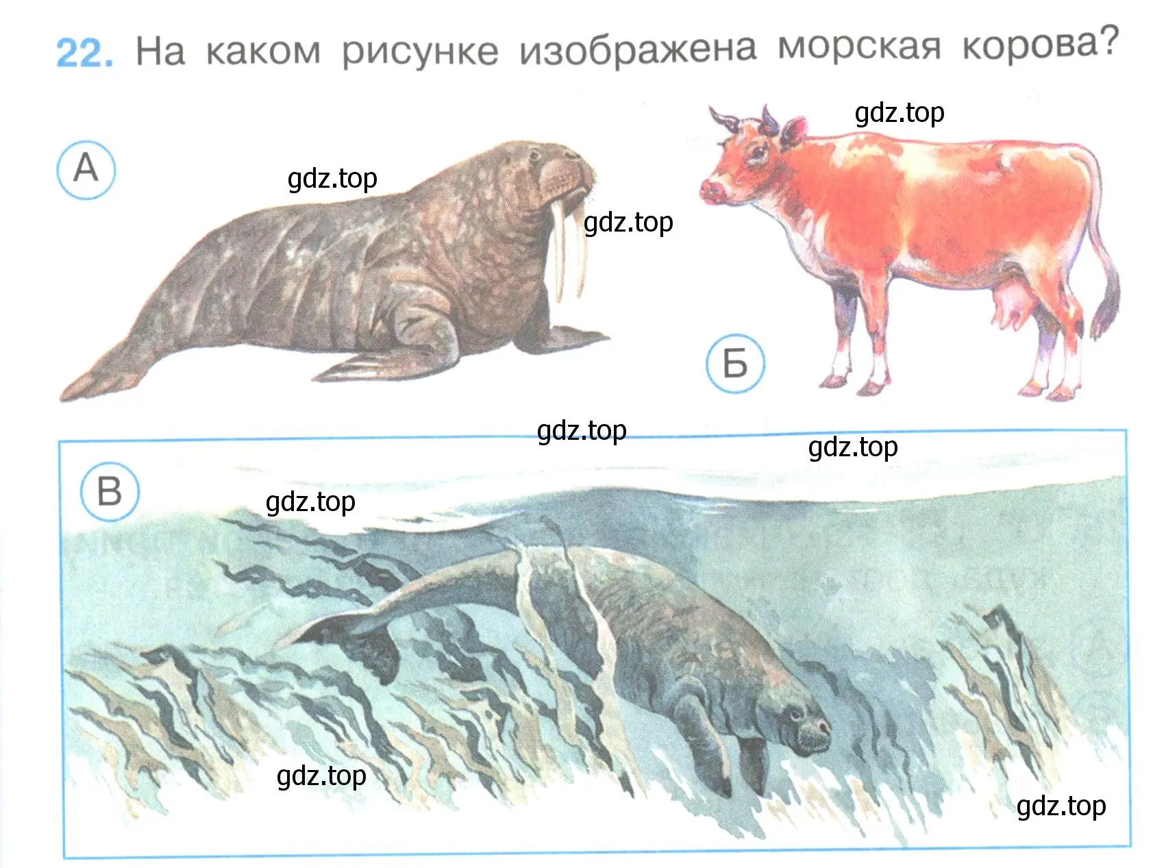 Условие номер 22 (страница 9) гдз по окружающему миру 3 класс Плешаков, Гара, тесты