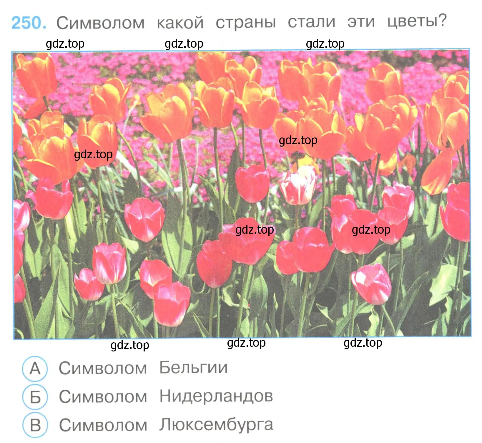 Условие номер 250 (страница 77) гдз по окружающему миру 3 класс Плешаков, Гара, тесты