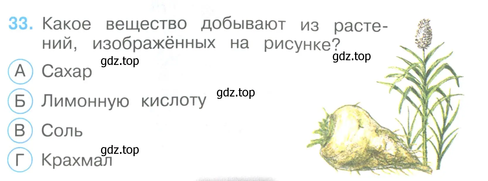 Условие номер 33 (страница 12) гдз по окружающему миру 3 класс Плешаков, Гара, тесты