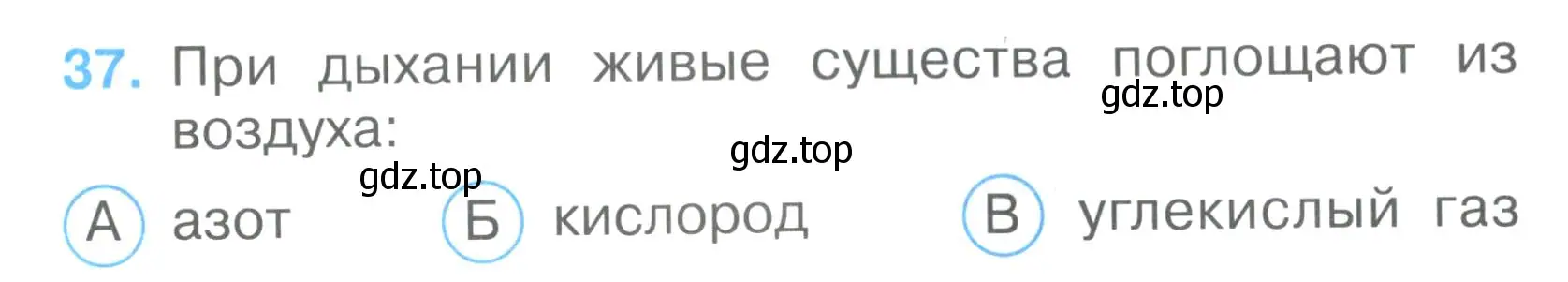 Условие номер 37 (страница 13) гдз по окружающему миру 3 класс Плешаков, Гара, тесты