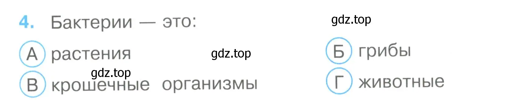 Условие номер 4 (страница 3) гдз по окружающему миру 3 класс Плешаков, Гара, тесты