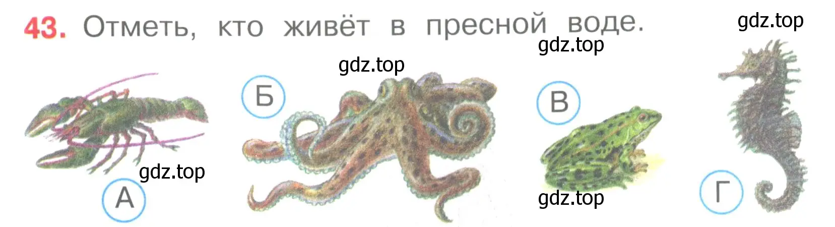 Условие номер 43 (страница 15) гдз по окружающему миру 3 класс Плешаков, Гара, тесты