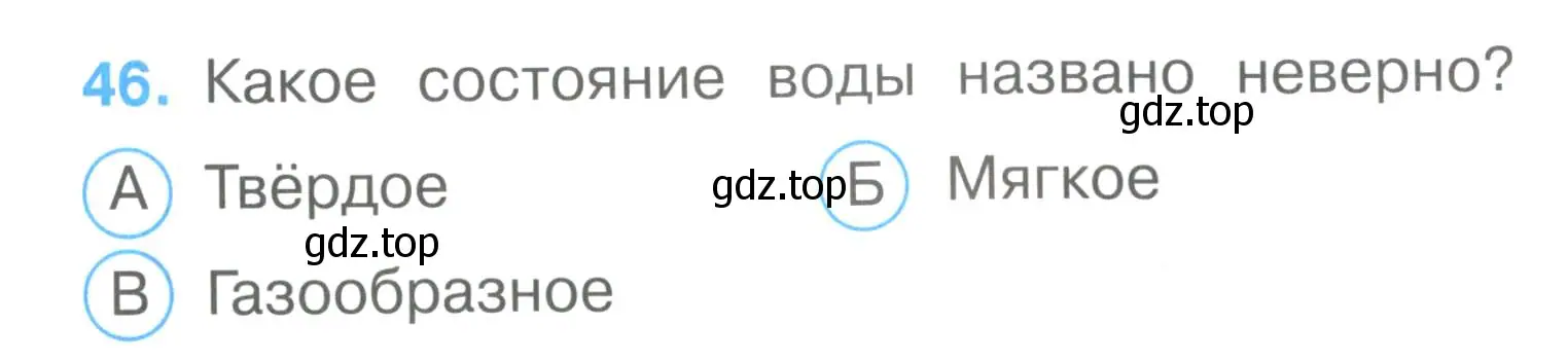 Условие номер 46 (страница 15) гдз по окружающему миру 3 класс Плешаков, Гара, тесты