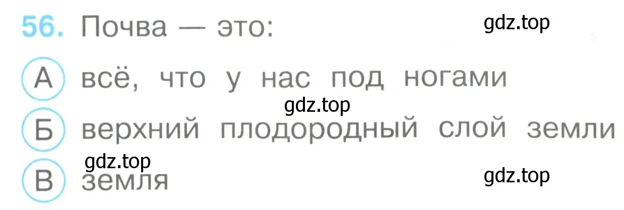 Условие номер 56 (страница 19) гдз по окружающему миру 3 класс Плешаков, Гара, тесты