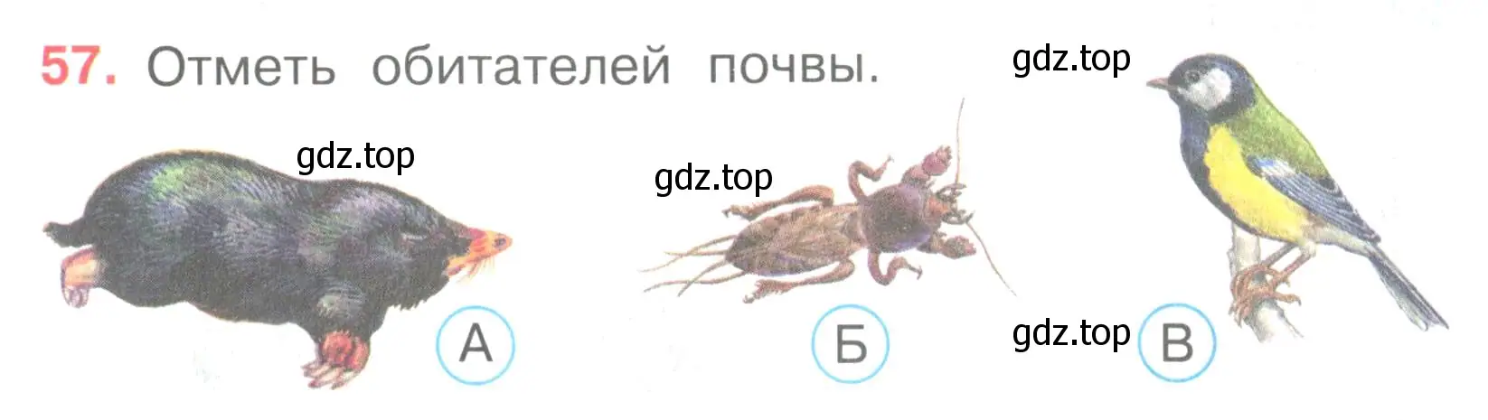 Условие номер 57 (страница 19) гдз по окружающему миру 3 класс Плешаков, Гара, тесты