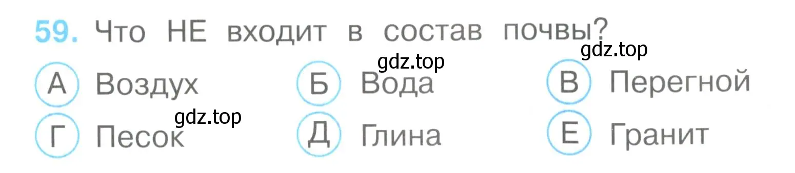 Условие номер 59 (страница 19) гдз по окружающему миру 3 класс Плешаков, Гара, тесты