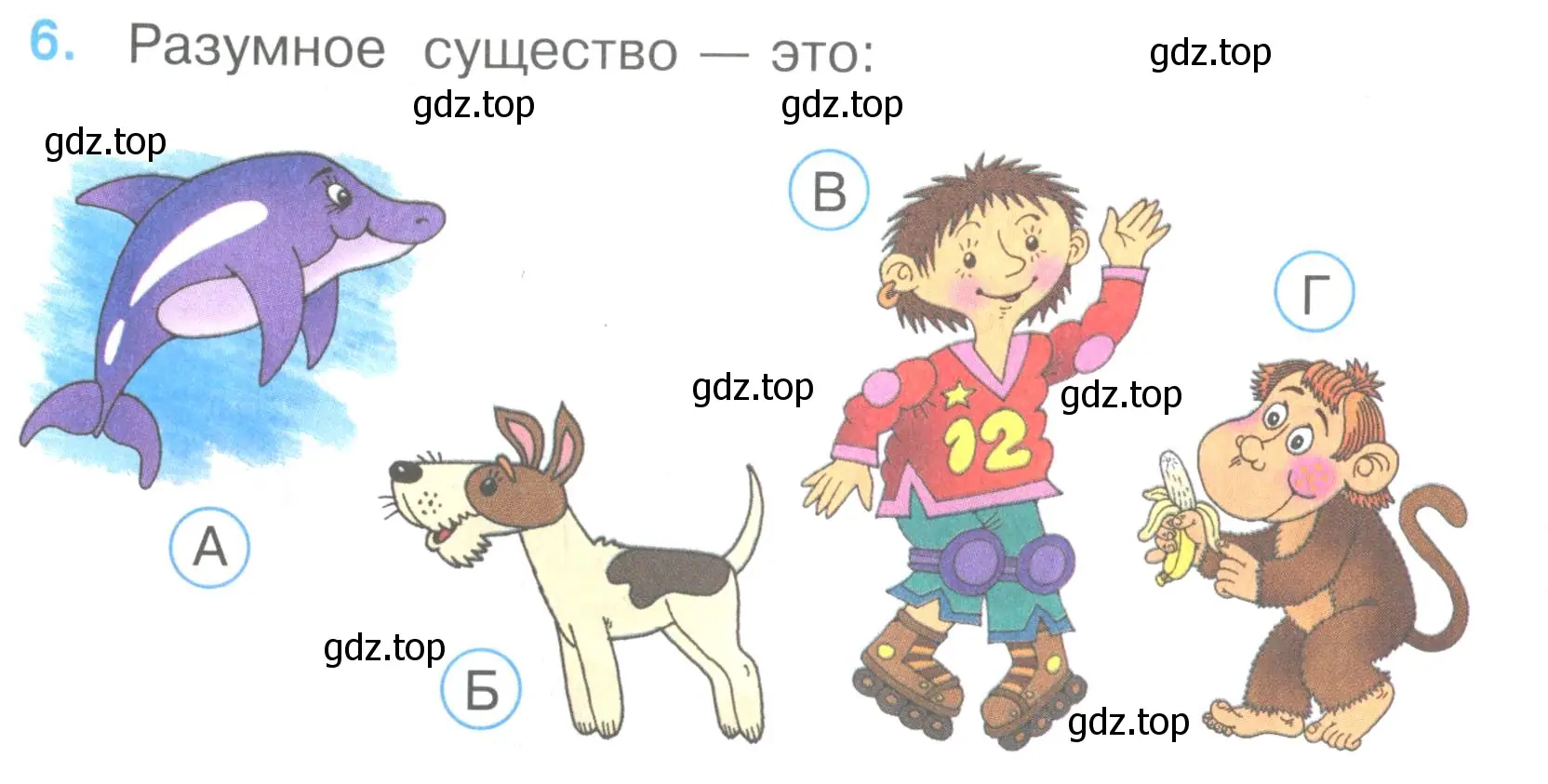 Условие номер 6 (страница 4) гдз по окружающему миру 3 класс Плешаков, Гара, тесты