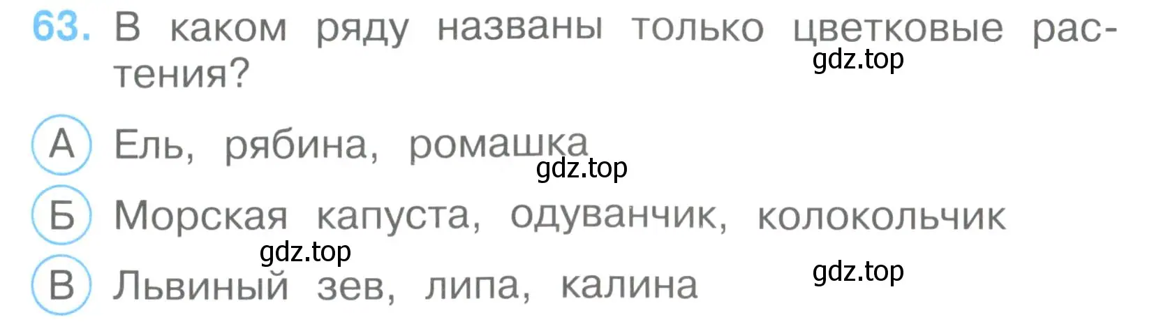 Условие номер 63 (страница 20) гдз по окружающему миру 3 класс Плешаков, Гара, тесты