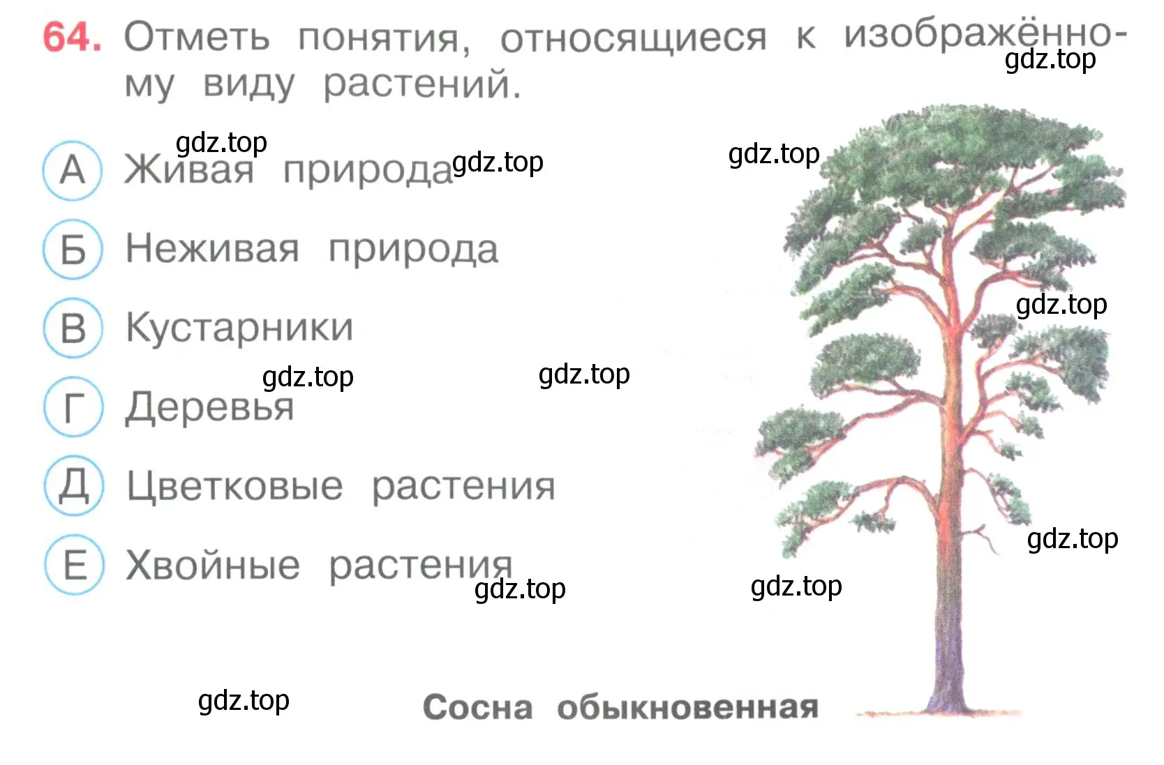 Условие номер 64 (страница 21) гдз по окружающему миру 3 класс Плешаков, Гара, тесты